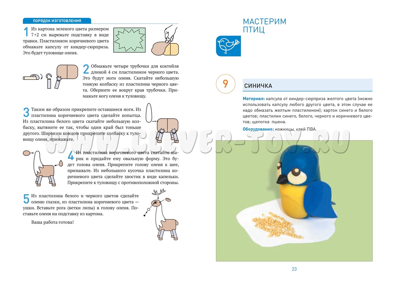 Поделки из природного и бросового материала. 5-6 лет. ФГОС МС12108 купить в  Ростове-на-Дону | CLEVER-TOY.RU