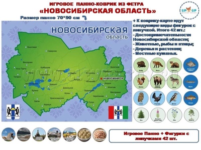 Панно Родной край Новосибирская область
