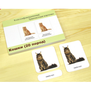 Трехчастные карточки «Кошки» (20 пород)