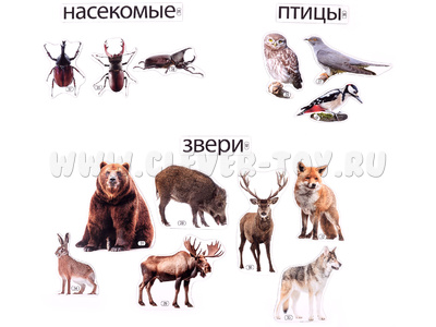 Набор магнитных карточек Кто живёт в лесу (к плакату Лес, тема 2)